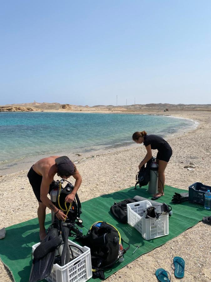 Blue Vision Diving Hotel Marsa Alam Exterior photo