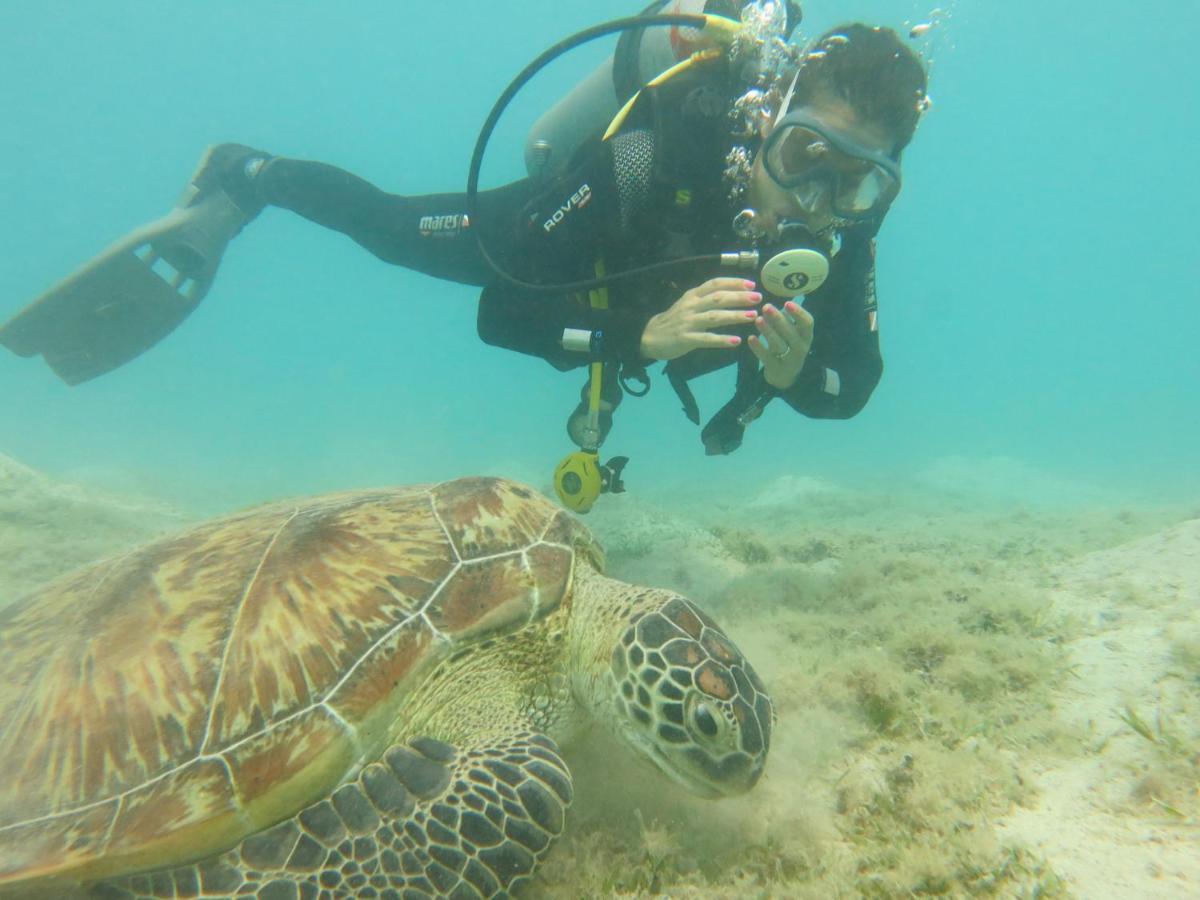 Blue Vision Diving Hotel Marsa Alam Exterior photo