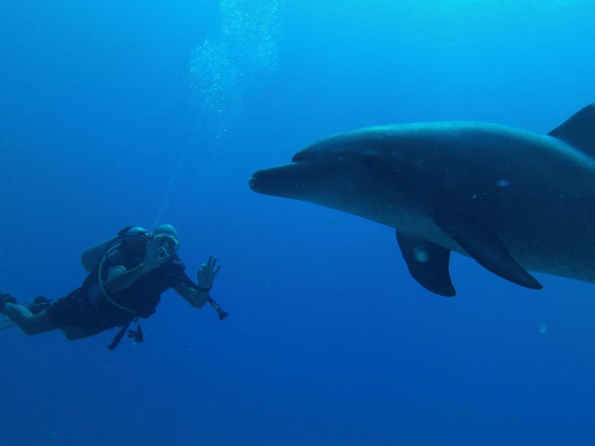 Blue Vision Diving Hotel Marsa Alam Exterior photo