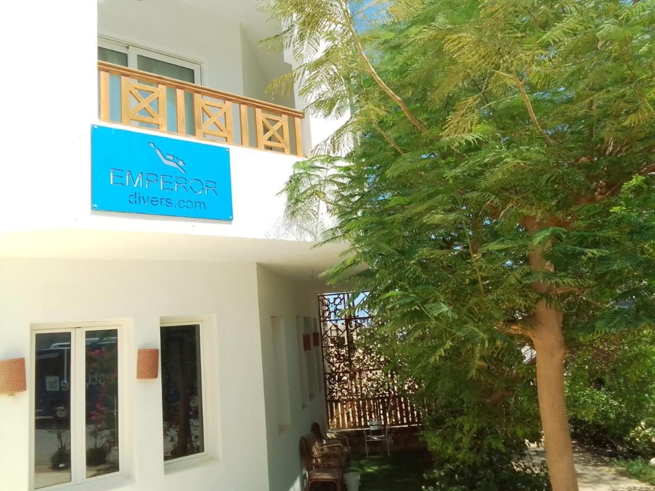 Blue Vision Diving Hotel Marsa Alam Exterior photo